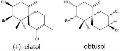 New Ecological Role of Seaweed Secondary Metabolites as Autotoxic and Allelopathic